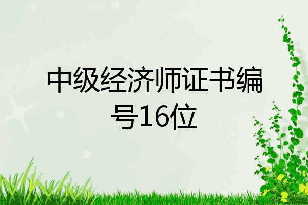 中级经济师证书编号16位