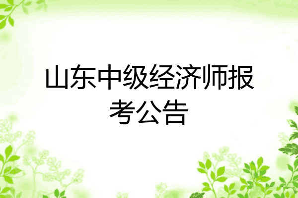 山东中级经济师报考公告