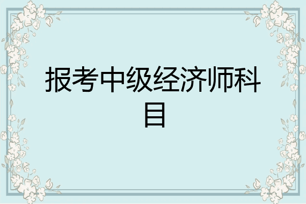 报考中级经济师科目