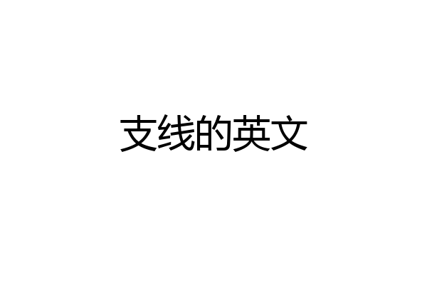 支线的英文