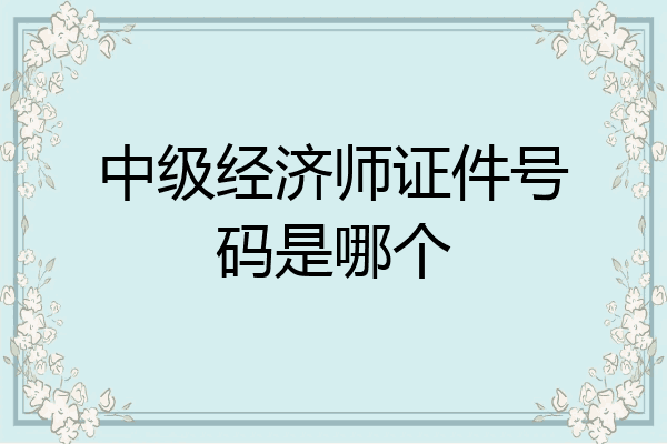 中级经济师证件号码是哪个