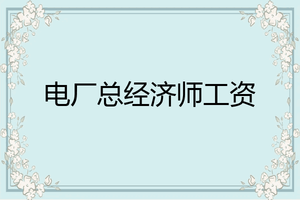电厂总经济师工资