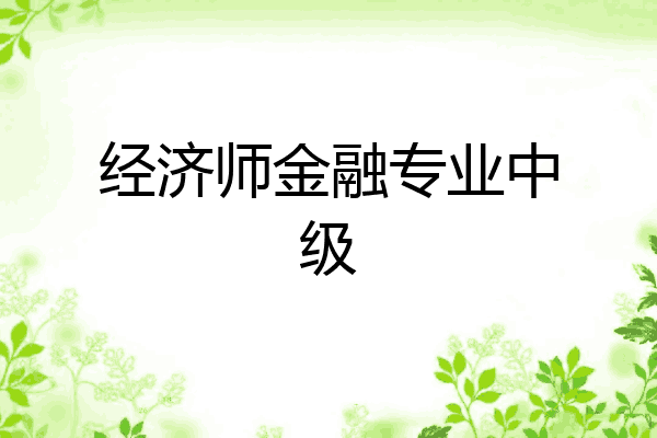 经济师金融专业中级
