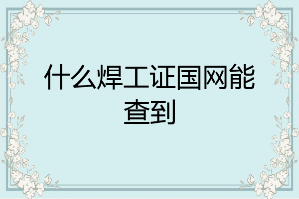 什么焊工证国网能查到