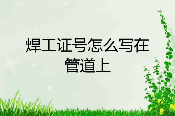 焊工证号怎么写在管道上