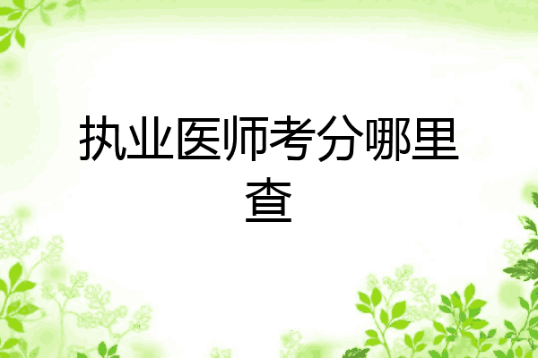执业医师考分哪里查