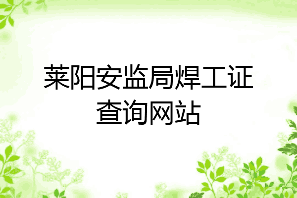 莱阳安监局焊工证查询网站
