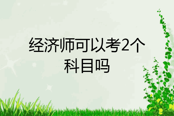 经济师可以考2个科目吗