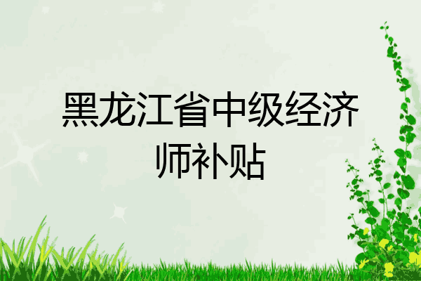 黑龙江省中级经济师补贴