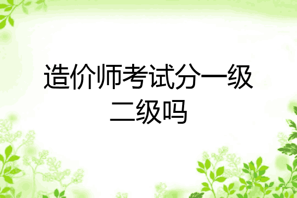 造价师考试分一级二级吗