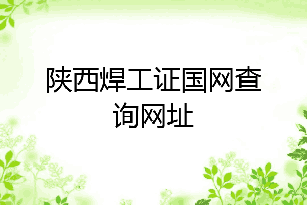 陕西焊工证国网查询网址