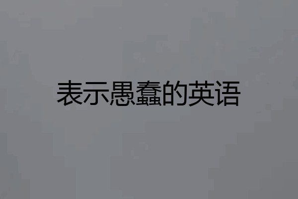 表示愚蠢的英语