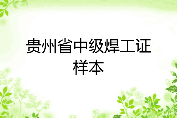 贵州省中级焊工证样本
