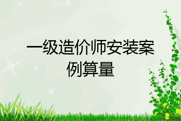 一级造价师安装案例算量