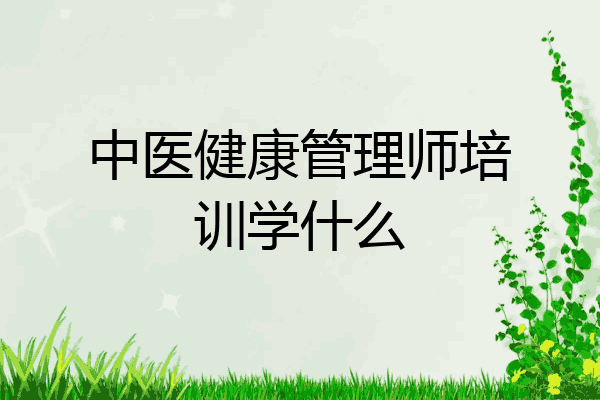 中医健康管理师培训学什么
