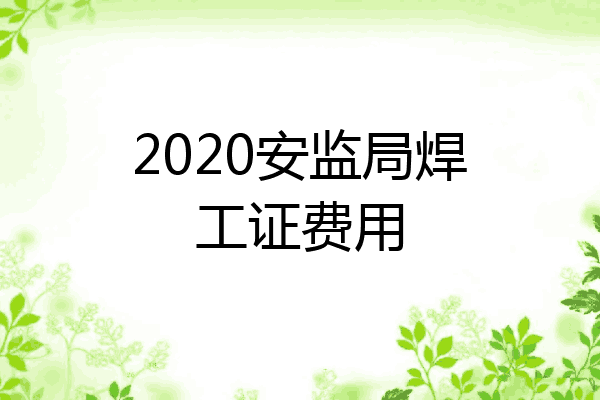 2020安监局焊工证费用