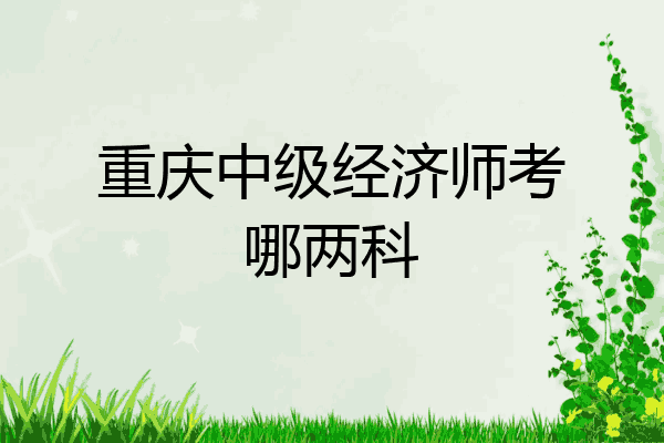 重庆中级经济师考哪两科