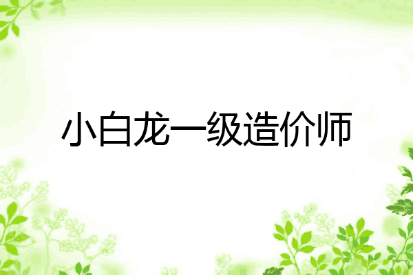 小白龙一级造价师
