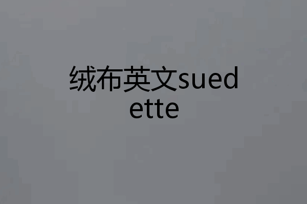 绒布英文suedette