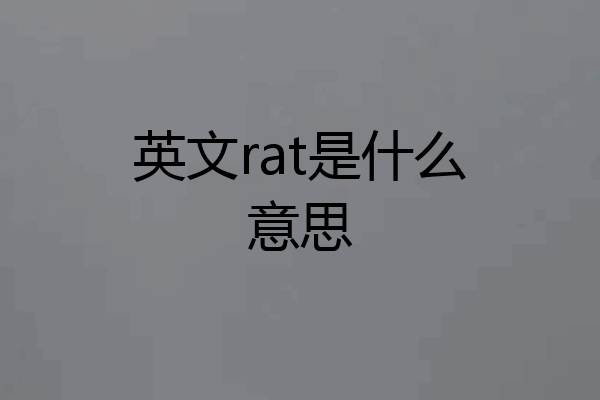 英文rat是什么意思