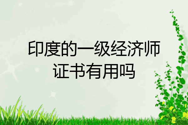 印度的一级经济师证书有用吗