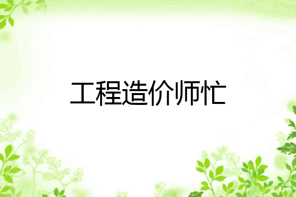 工程造价师忙