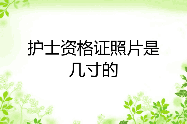 护士资格证照片是几寸的