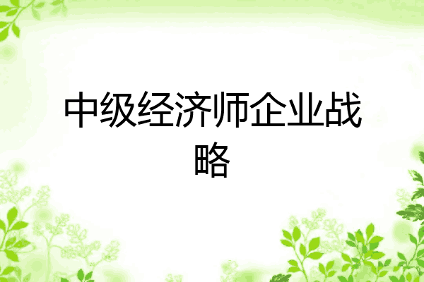 中级经济师企业战略