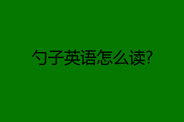 勺子英语怎么读?