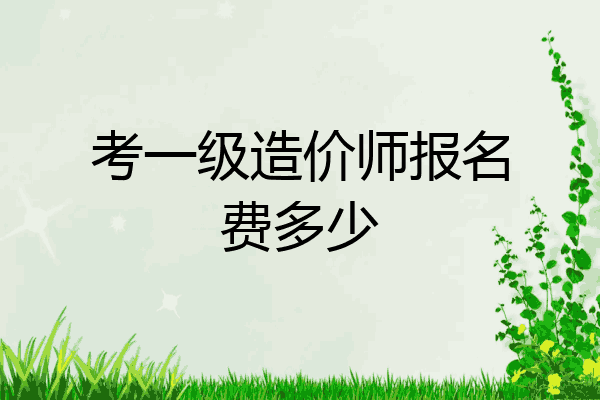 考一级造价师报名费多少