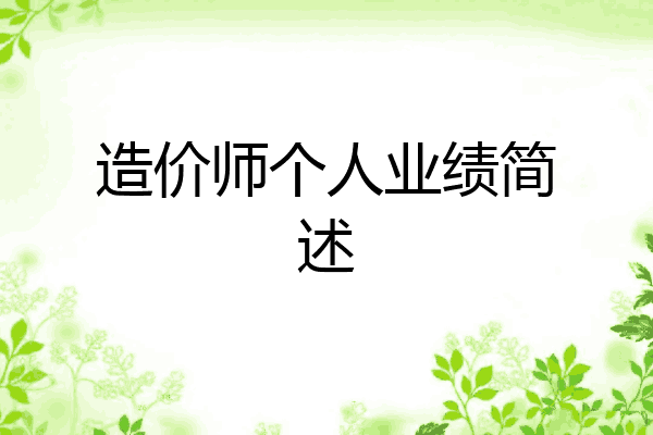 造价师个人业绩简述