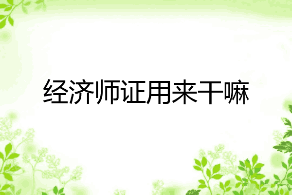 经济师证用来干嘛