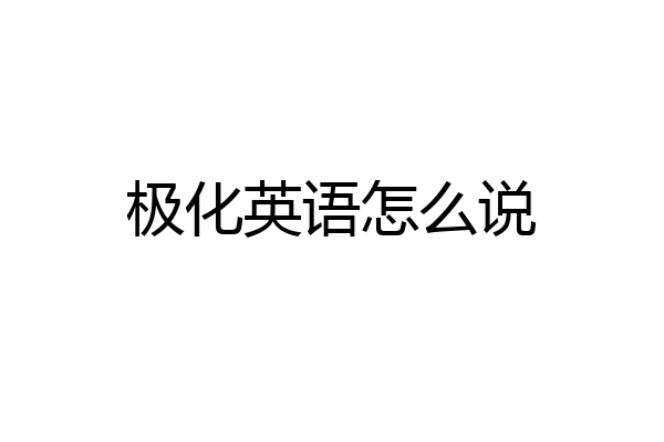 极化英语怎么说