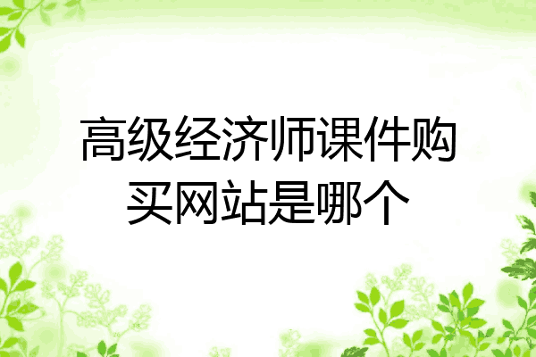 高级经济师课件购买网站是哪个