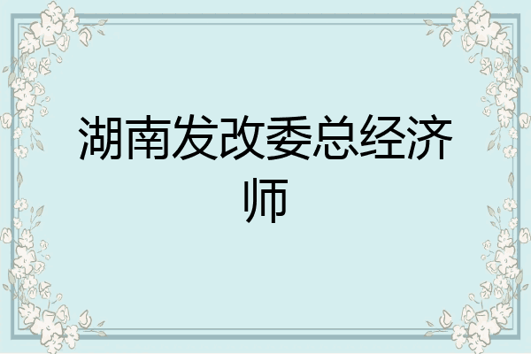 湖南发改委总经济师