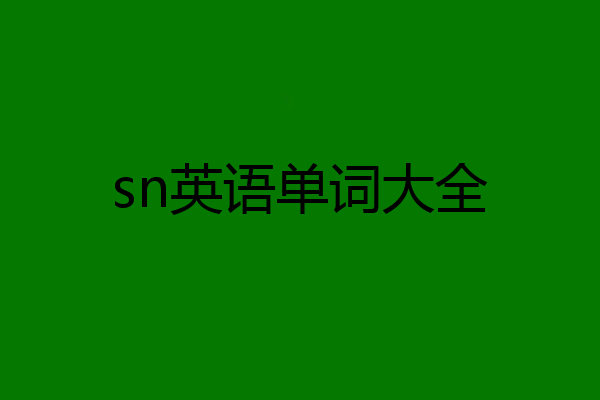 sn英语单词大全
