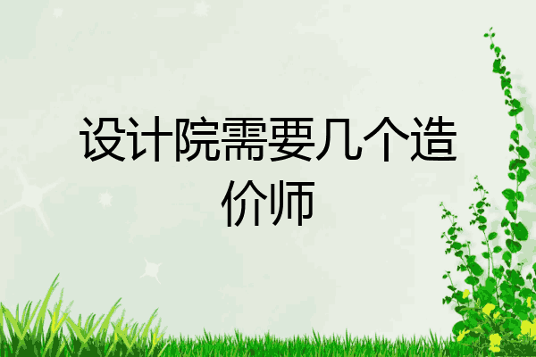 设计院需要几个造价师