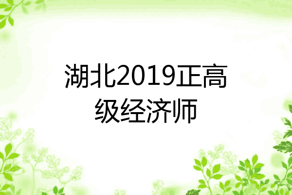 湖北2019正高级经济师