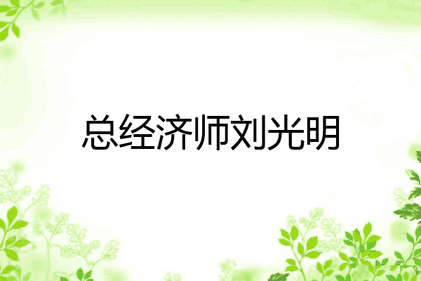 总经济师刘光明