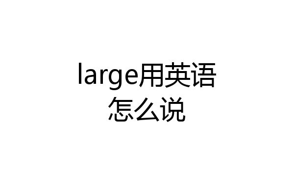 large用英语怎么说