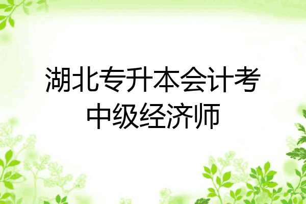 湖北专升本会计考中级经济师