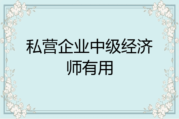 私营企业中级经济师有用