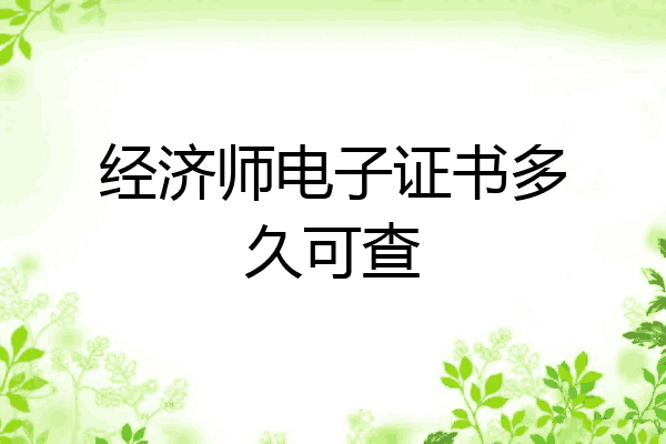 经济师电子证书多久可查