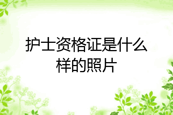 护士资格证是什么样的照片