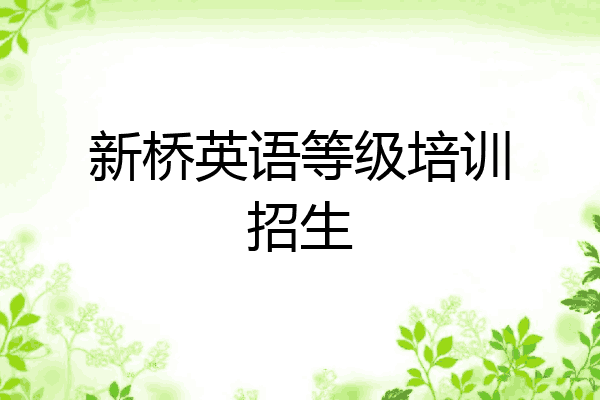 新桥英语等级培训招生