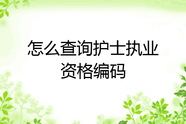 怎么查询护士执业资格编码