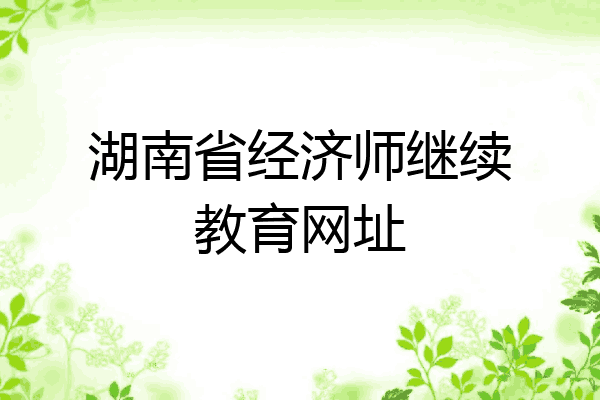 湖南省经济师继续教育网址