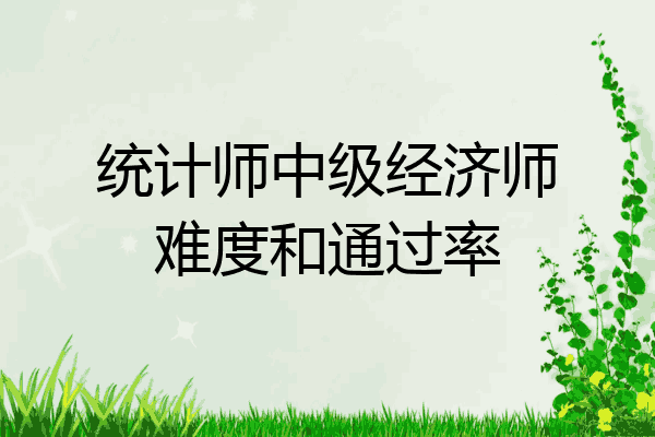 统计师中级经济师难度和通过率