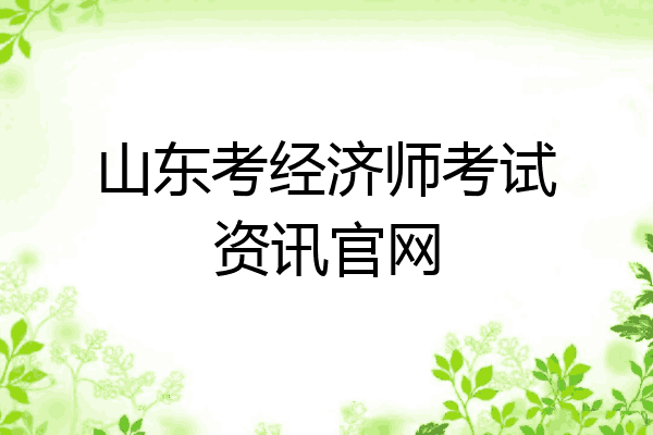 山东考经济师考试资讯官网