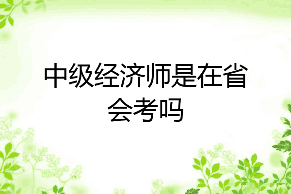 中级经济师是在省会考吗
